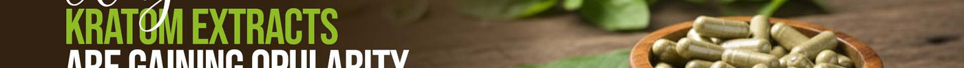 Why Kratom Extracts Are Gaining Popularity in the U.S.