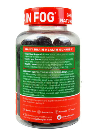 Fungies Blueberry & Strawberry Lion’s Mane Mushroom Brain Health Gummies 60 count - Mushrooms